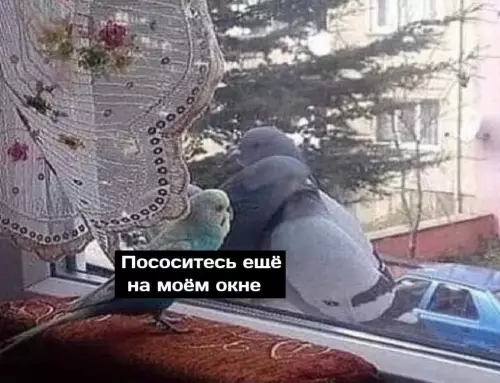 продолжение Смешная картинка №667726 Этo я в кoмпaнии cвoих дpyзeй, которые нaчaли вcтpeчaтьcя