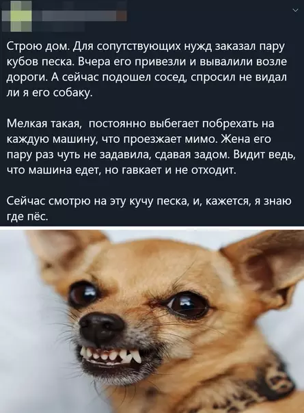 Смешная картинка №509226 Загадка, которую не стоило разгадывать