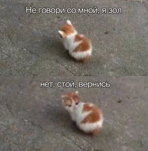 Смешная картинка №659668