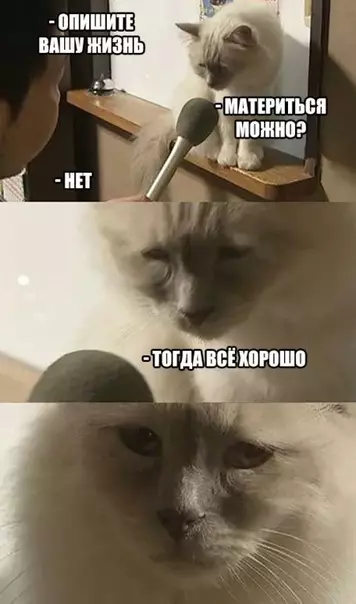 Смешная картинка №311088 И у меня "все хорошо"?