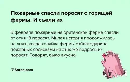 Смешная картинка №203635 Милота