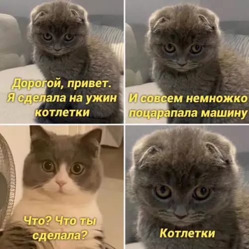 Смешная картинка №660095