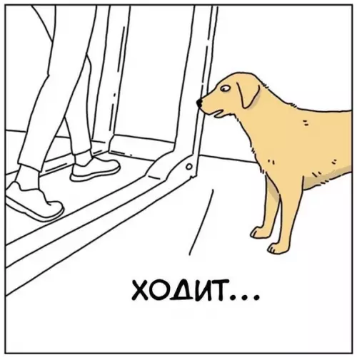 Смешная картинка №572497
