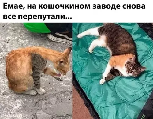 Смешная картинка №760608