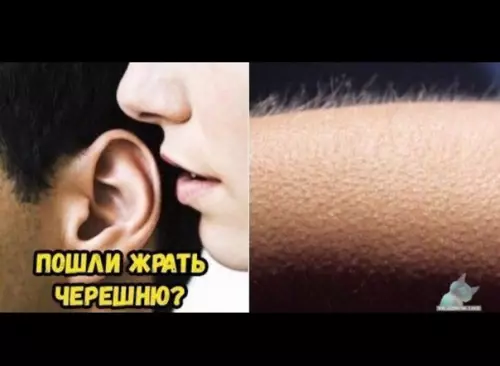 Смешная картинка №372556