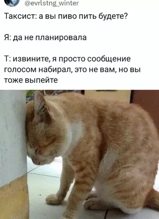 Смешная картинка №713034
