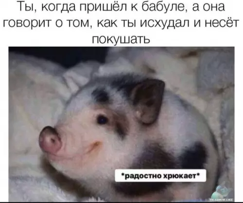 Смешная картинка №427294