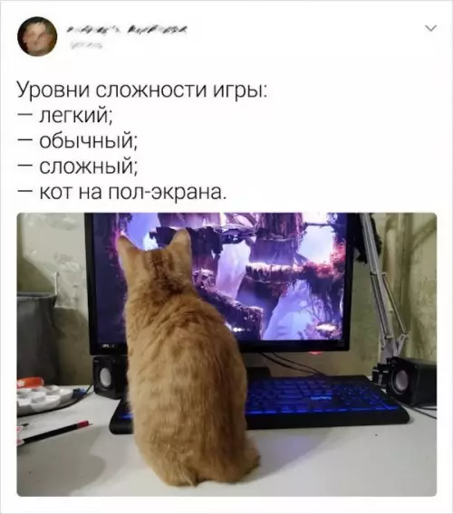 Смешная картинка №690272