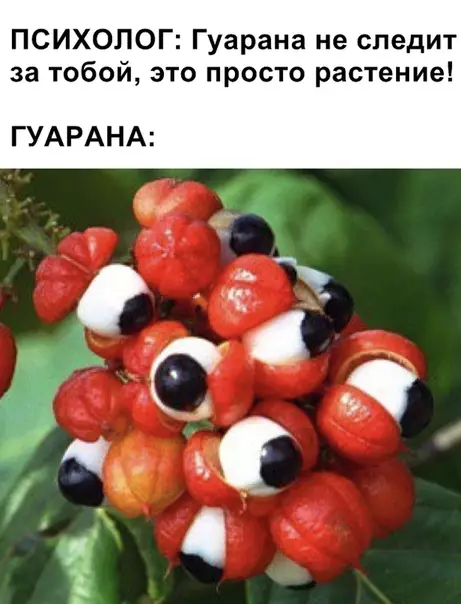 Смешная картинка №363308