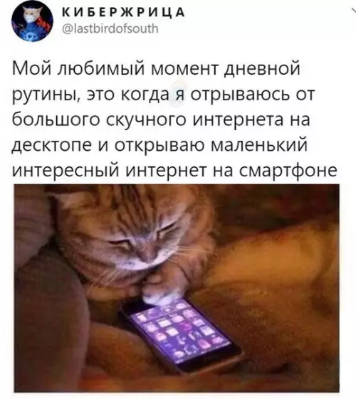 Смешная картинка №516980 Теперь я знаю, что размер имеет значение интернет