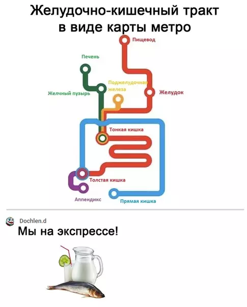 Смешная картинка №514511 Единственное метро, в котором бывают пробки