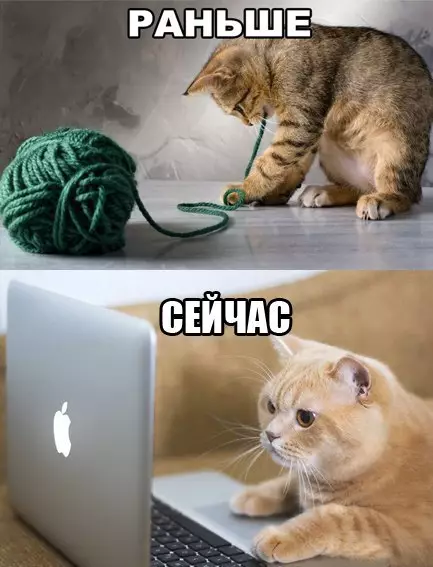 Смешная картинка №196293