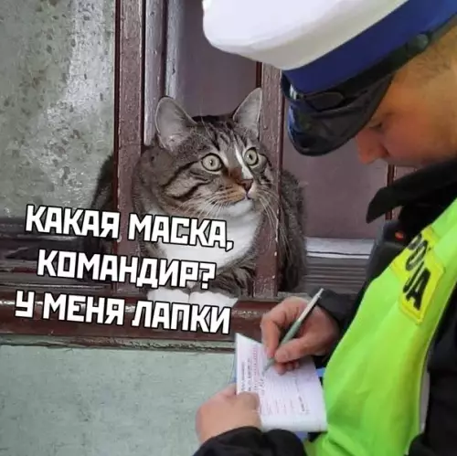Смешная картинка №488003