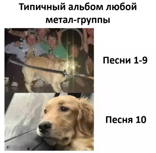 Смешная картинка №821510