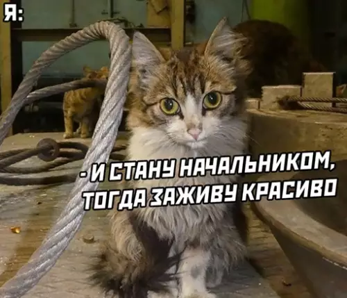 продолжение Смешная картинка №644275