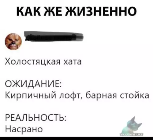 Смешная картинка №393811