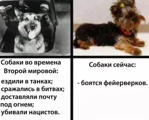 Смешная картинка №196121