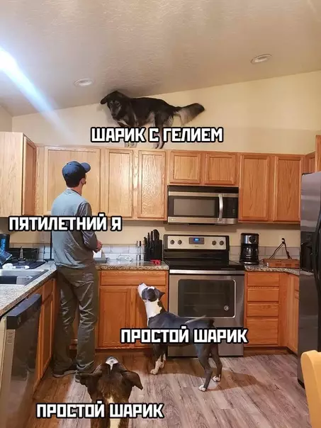 Смешная картинка №446495