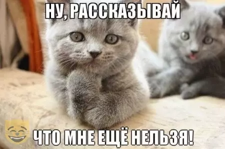 Смешная картинка №478981 #приколы #картинки #мемы ?