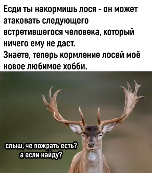 Смешная картинка №669468