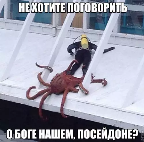 Смешная картинка №178268