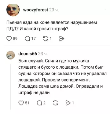 Пьяный всадник или беспредел на лошадках? 🐎😂 - Пьяная езда на коне является нарушением ПДД? И какой грозит