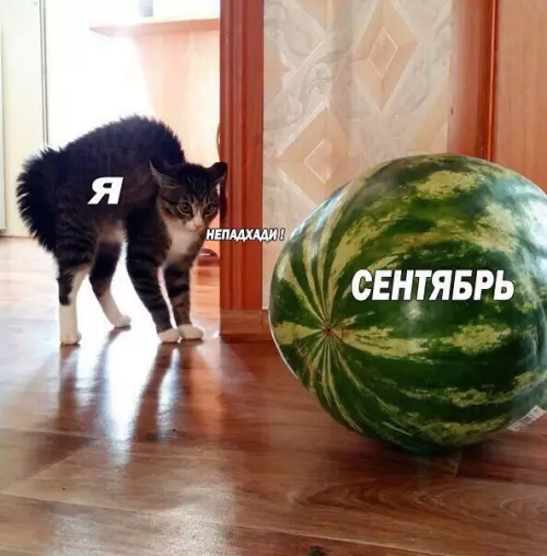 Смешная картинка №379585