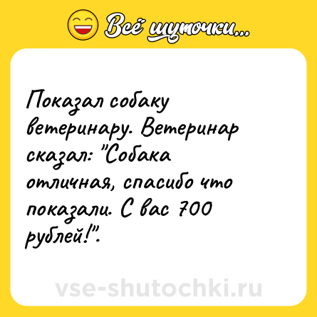 Шутка: Показал собаку ветеринару. Ветеринар сказал: 