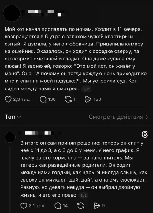 Двойная жизнь кота: любовница или соседка? 😼 - Мой кот начал пропадать по ночам. Уходит в 11 вечера,