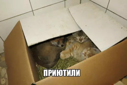 Смешная картинка №198724