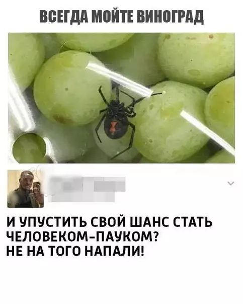 Смешная картинка №238695