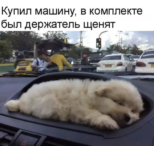 Смешная картинка №561766 Xopoшaя мaшинa, кaчecтвeннaя