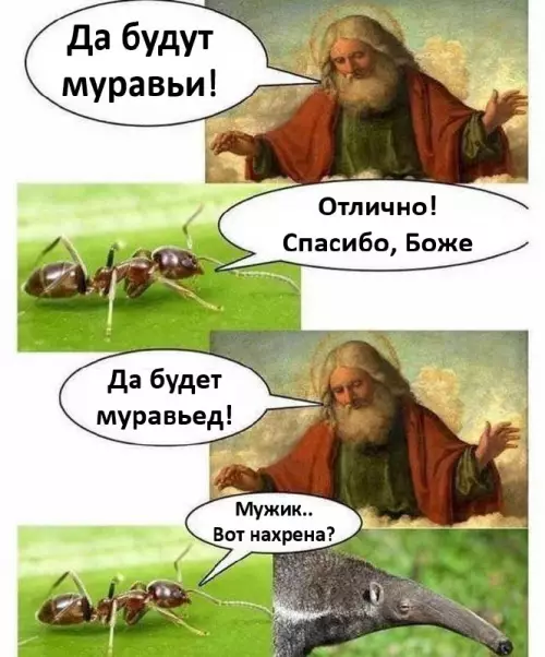Божественное недоразумение
