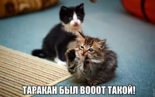 Смешная картинка №185392