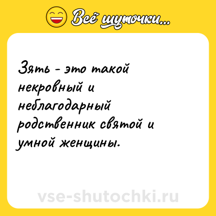 Шутка: Зять - это такой некровный и неблагодарный родственник святой и умной женщины.<br>    