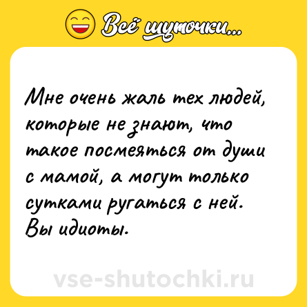 Шутка: Мне очень жаль тех людей, которые не знают, что такое поcмеяться от души с мамой, а могут только сутками ругаться с ней. Вы идиоты.