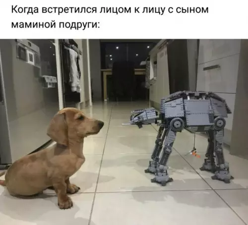 Смешная картинка №248060