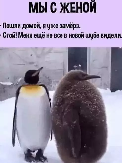 Смешная картинка №668268 картинки