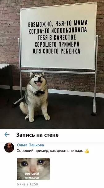 Смешная картинка №622581
