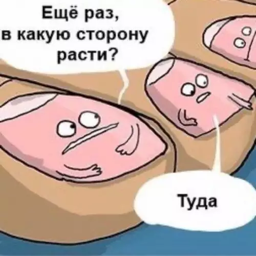 Смешная картинка №530419 И так всегда