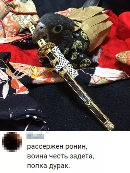 Смешная картинка №363532