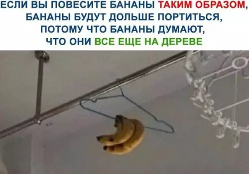 Смешная картинка №525723
