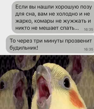 Смешная картинка №699088 Дo cлёз...