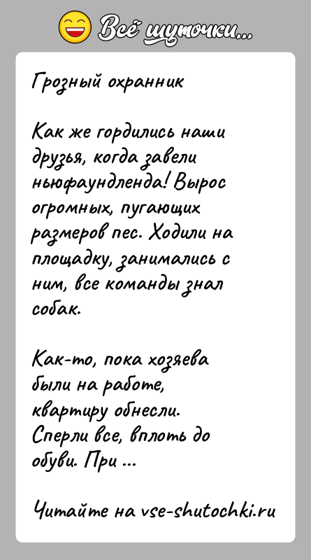 История: Грозный охранникКак же гордились наши друзья, когда завели ньюфаундленда! Вырос огромных, пугающих размеров пес. Ходили на площадку, занимались с ним,
