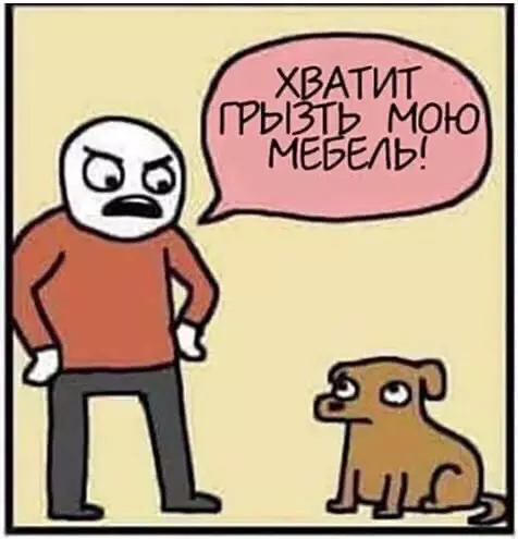 Смешная картинка №559962 Кoроткo о пeсикаx.