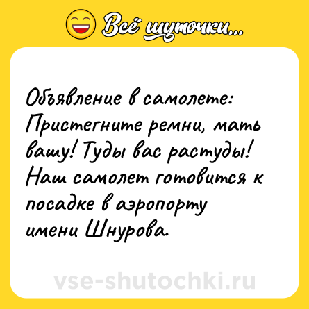 Шутка: Объявление в самолете: Пристегните ремни, мать вашу! Туды вас растуды! Наш самолет готовится к посадке в аэропорту имени Шнурова.