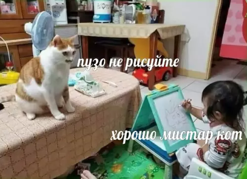 Смешная картинка №662711