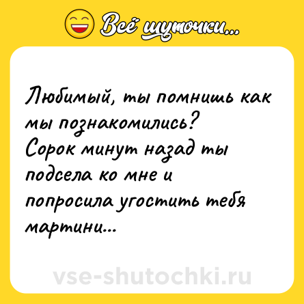 Шутка: Любимый, ты помнишь как мы познакомились?<br>Сорок минут назад ты подсела ко мне и попросила угостить тебя мартини...