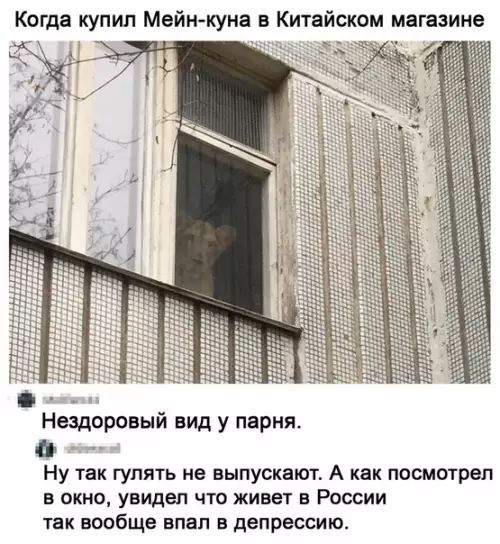 Смешная картинка №514025 Не хотела бы я таких соседей D: