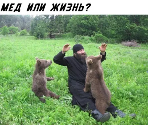 Смешная картинка №283393